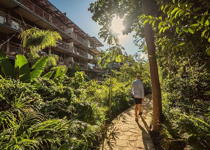 Apartment Amazing 1br On Cenote, And Gym *